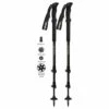 Gabel Vertigo FL Green Trekking And Ski Touring Poles